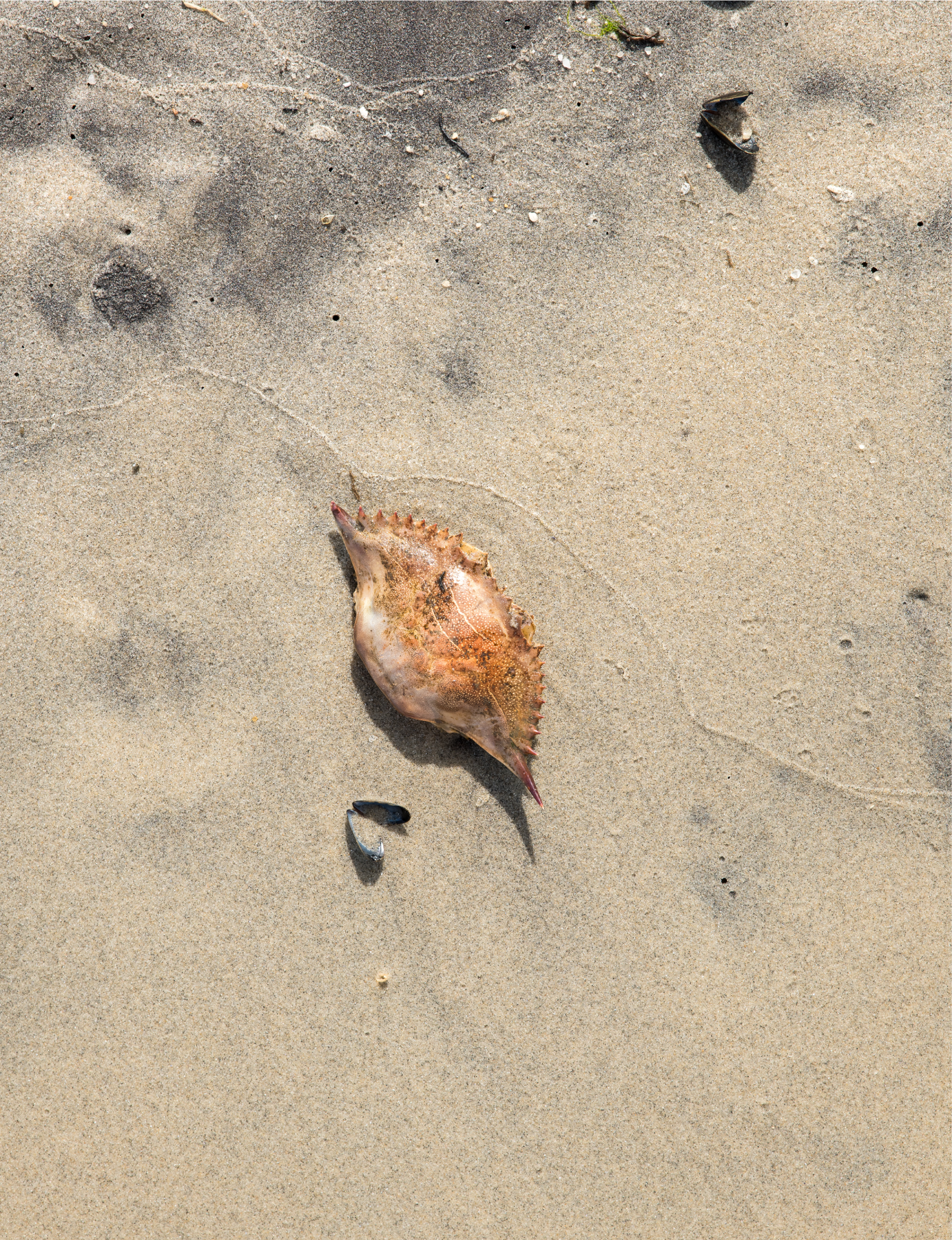 NOAA’s Ocean Acidification Program