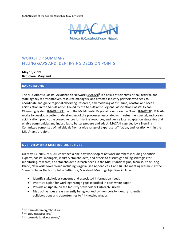 MACAN 2019 Workshop Final Report PDF