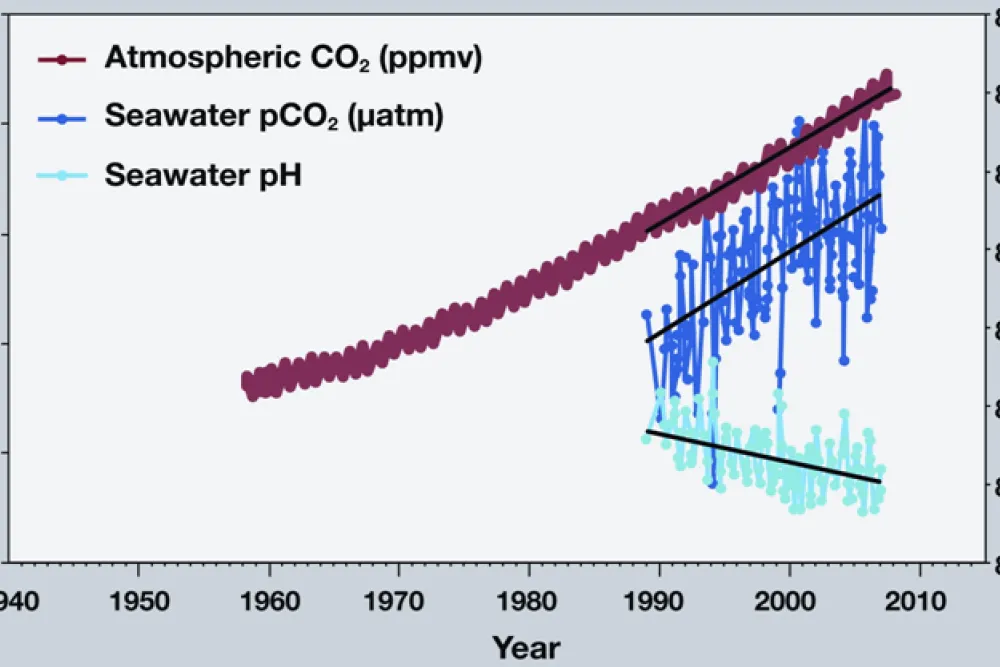 NOAA PMEL Carbon Program