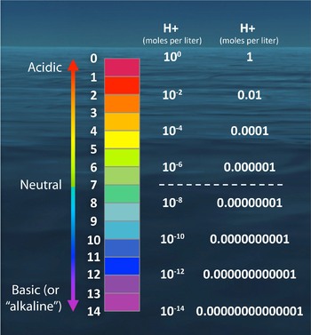 NOAA PMEL Carbon Program