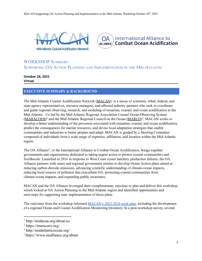 Supporting OA Action Planning and Implementation Workshop Summary PDF