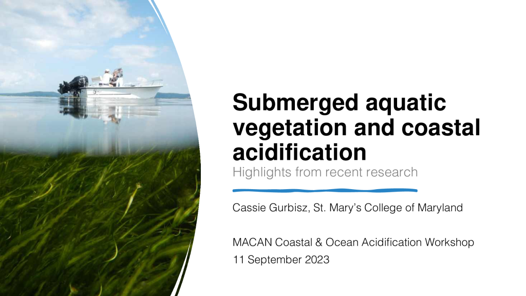 Submerged aquatic vegetation and coastal acidification PDF