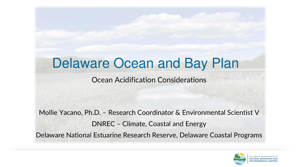 Delaware Ocean and Bay Plan PDF