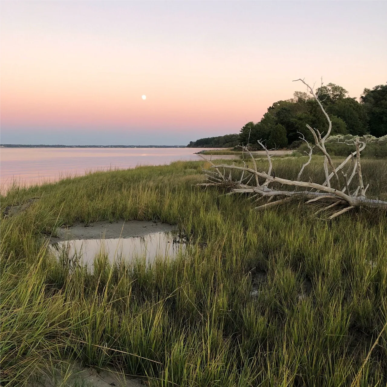 Coastal Acidification in the Classroom: A Module for the Region