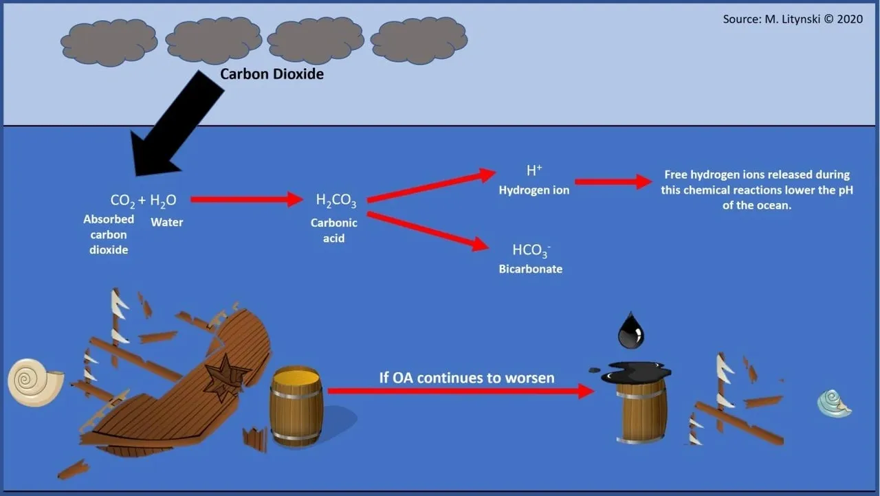 ‘Shipwrecks, Oyster Middens & Artifacts’ Lesson for Grades 9-12
