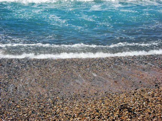 Apply Now for MACAN Fellowship