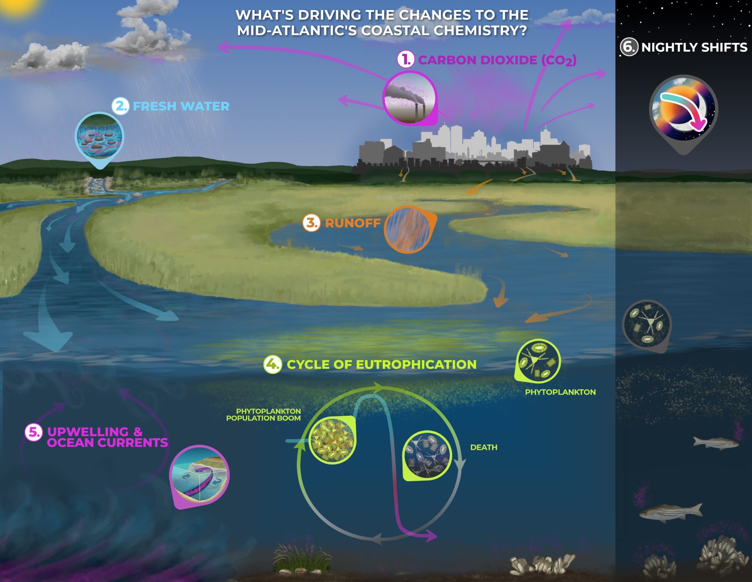 Coastal Acidification (diagram-2)